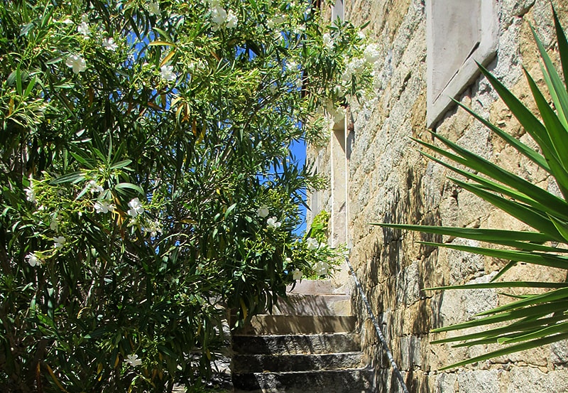 Présentation jardin et extérieurs, Maison-Villa de charme à louer en Corse du Sud proche Bonifaccio